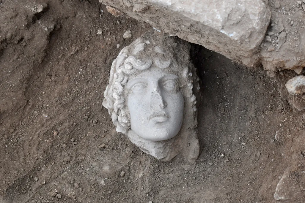 The Horny Shepherd Who Ruined Everyone’s Weekend